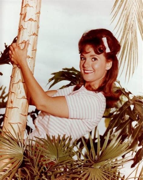 dawn wells bikini|30 Portrait Photos of Dawn Wells in the 1960s